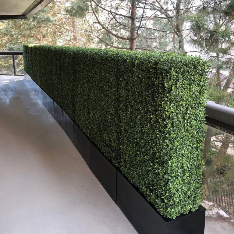 Why Cone Topiary Trees Are Worth Buying Ultimate Guide for Buyers