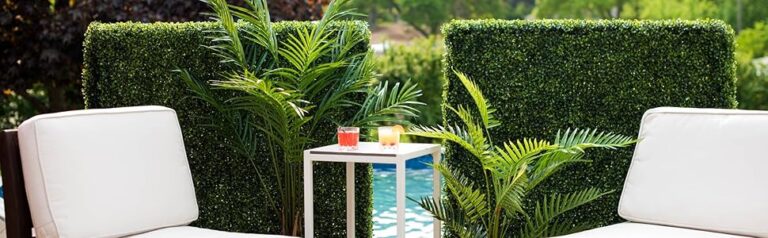 Transform Your Outdoor Space with Elegant Spiral Box Trees for Instant Curb Appeal