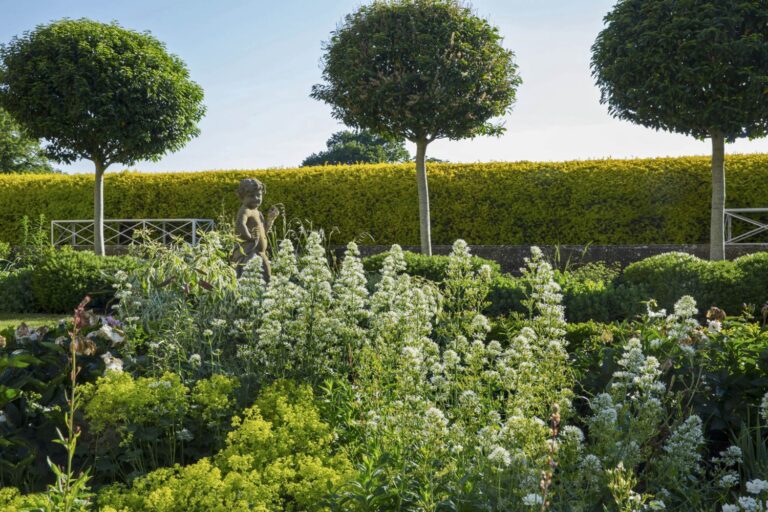 Ilex Crenata Topiary Balls Timeless Elegance for Modern Landscapes